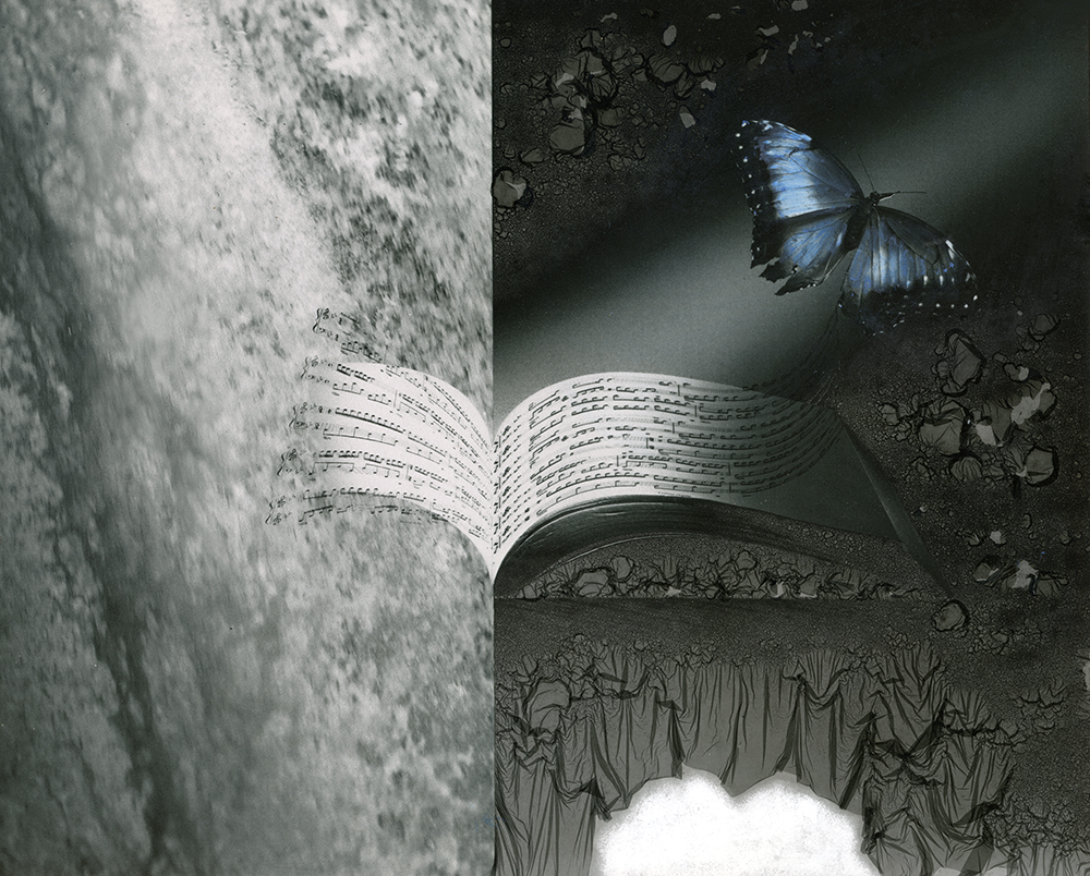 Split image with water on the left and a butterfly near an open book on the right, dark background, ground, and fabric.